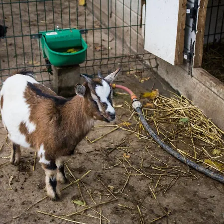 De Warincthun 別荘