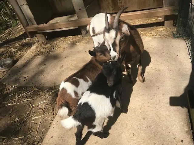 Casa vacanze De Warincthun