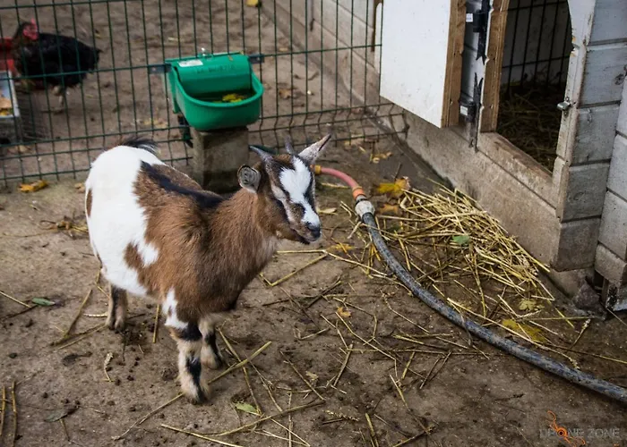 De Warincthun Casa vacanze