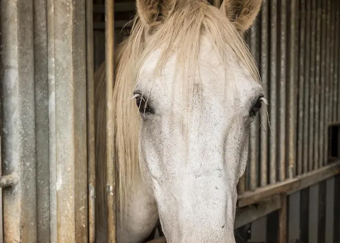 De Warincthun Audinghen